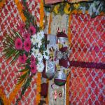 Vraj-Yatra-2014- (495)